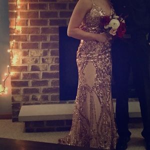 Winter Ball/Prom Gown